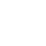 Portronics
